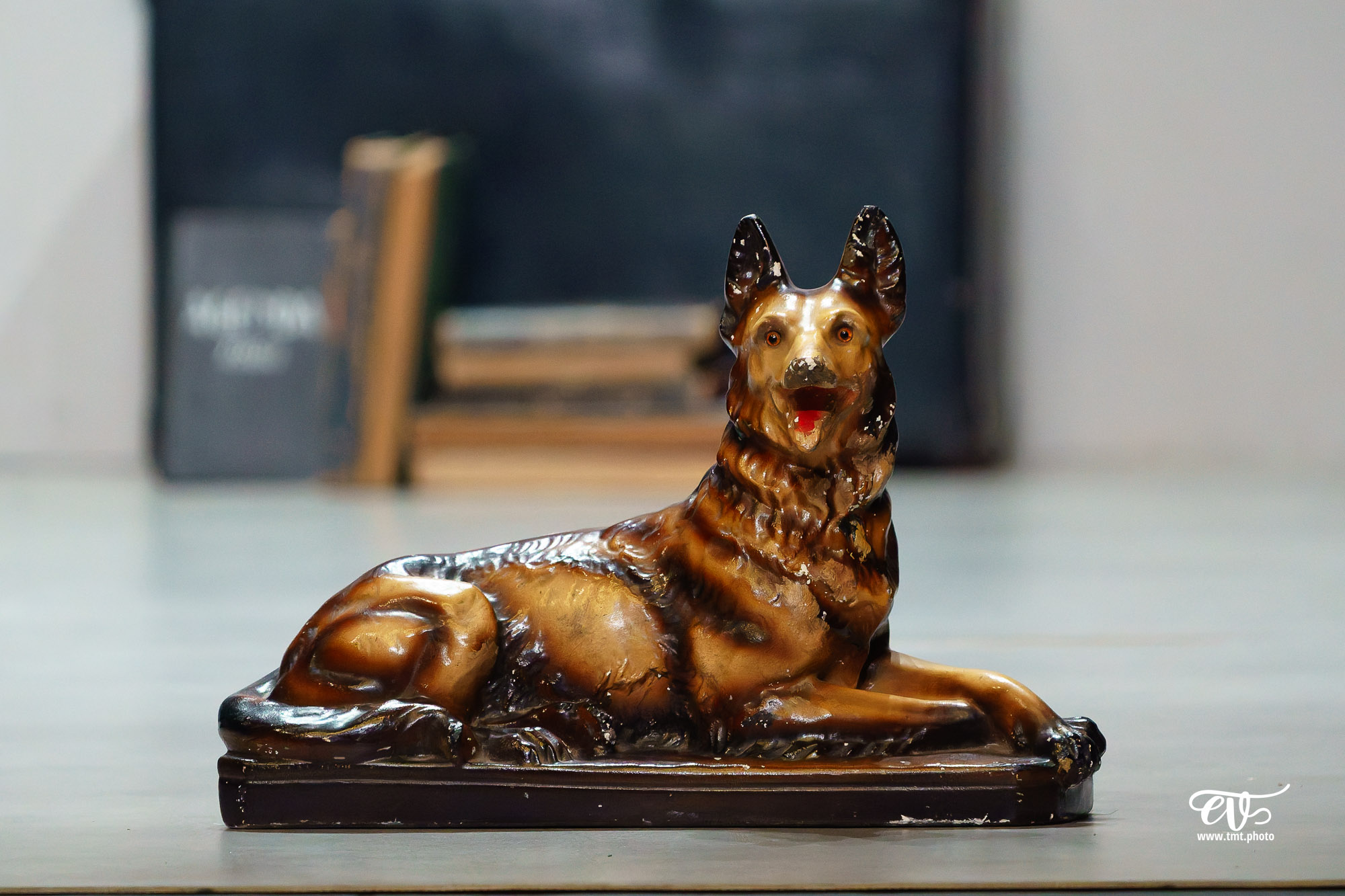 LA DISPARITION DE JOSEF MENGELE (CIE L'IDEE DU NORD)